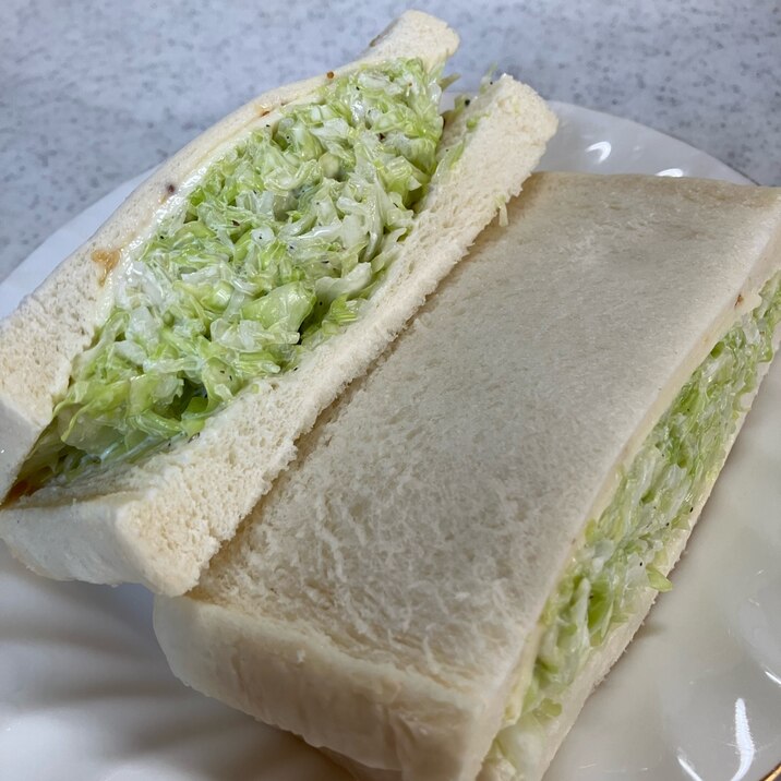 シンプル キャベツたっぷりサンドウィッチ